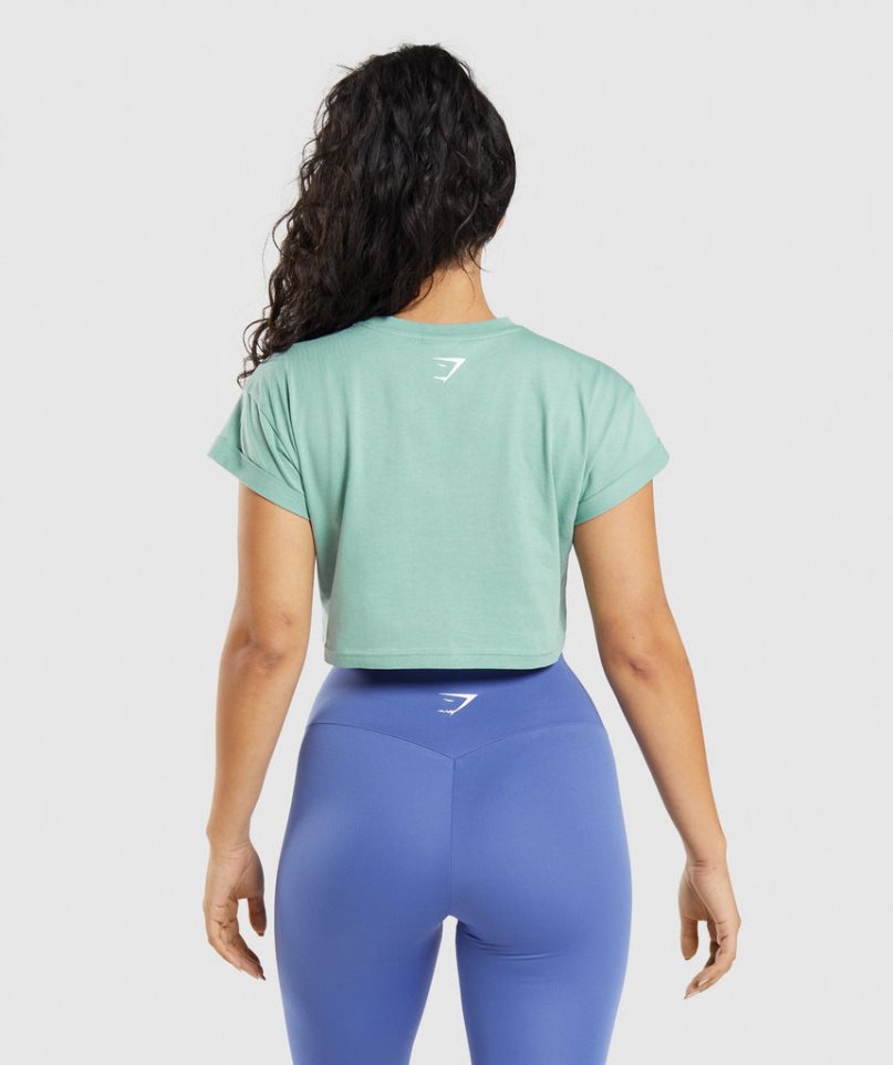 Women's Gymshark Fraction Cropped Tops Light Green | CA 6A50D3